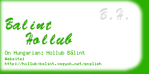 balint hollub business card