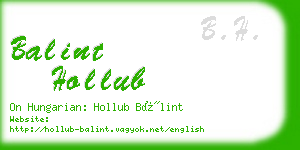 balint hollub business card